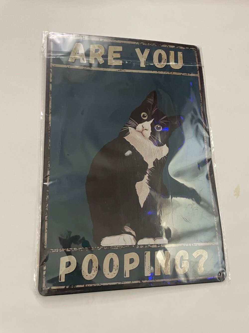 Are You Pooping? – Funny Cat Metal Sign